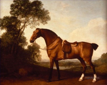 Horse Painting - A Saddled Bay Hunter by George Stubbs neddy